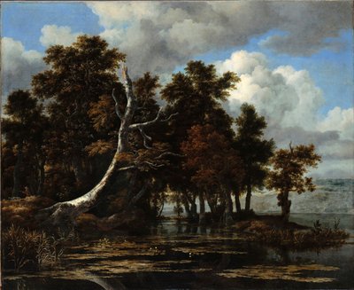 Querce sulle rive di un lago con ninfee da Jacob van Ruisdael