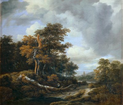 Ingresso in un bosco ... da Jacob Isaaksz. or Isaacksz. van Ruisdael