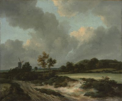 Campi di grano da Jacob van Ruisdael