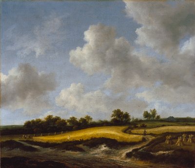 Paesaggio con campo di grano da Jacob van Ruisdael