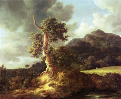 Immagine sconosciuta da Jacob van Ruisdael