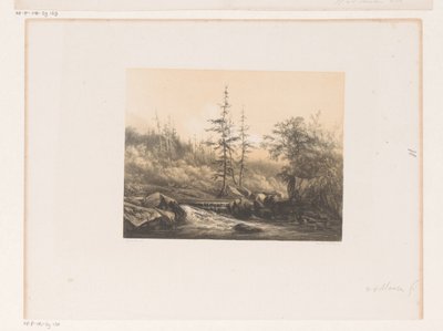 Paesaggio boschivo con fiume da Jacob Jan van der Maaten (attributed to)