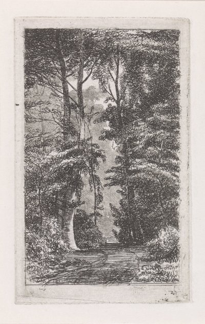 Viale alberato da Jacob Jan van der Maaten