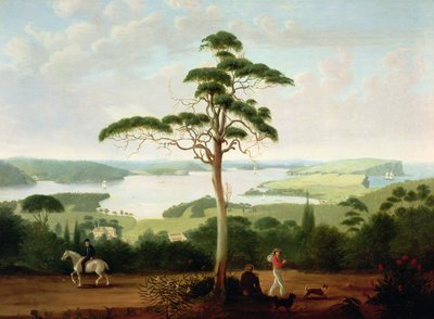 Porto di Sydney verso i Capi, 1848 da Jacob Janssen