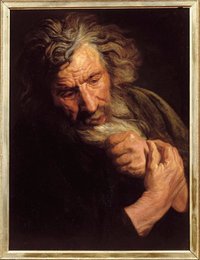 Testa di vecchio. Dipinto di Jacob Jordaens da Jacob Jordaens