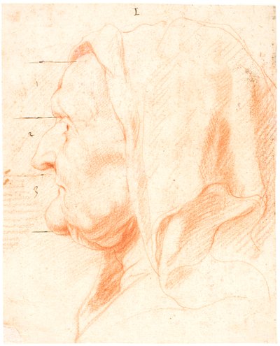 Testa di una vecchia, in profilo a sinistra da Jacob Jordaens