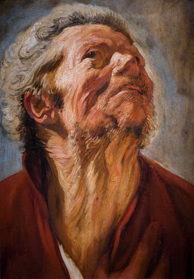Testa di studio da Jacob Jordaens