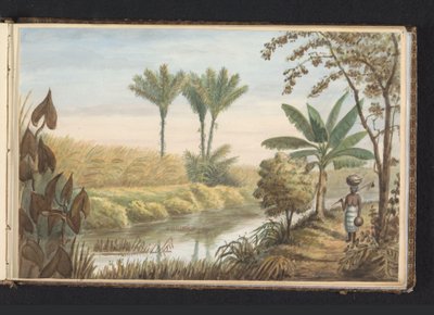 Veduta di un campo con piantagione di canna da zucchero Visserszorg da Jacob Marius Adriaan Martini van Geffen