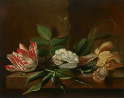 Un tulipano pappagallo, una rosa, un iris e insetti su un tavolo di legno da Jacob Marrel