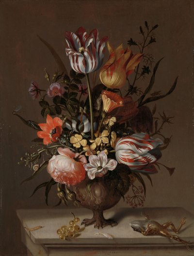 Natura morta con un vaso di fiori e una rana morta da Jacob Marrel