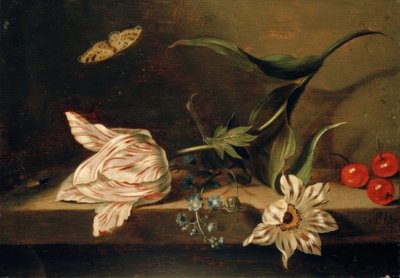 Natura morta con fiori su un tavolo da Jacob Marrel