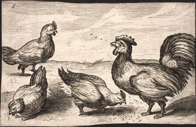 Un gallo con tre galline da Jacob Matham