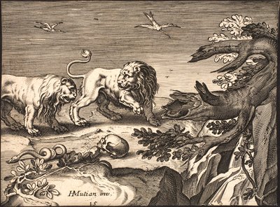 Due leoni in natura da Jacob Matham