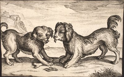 Due piccoli cani da Jacob Matham