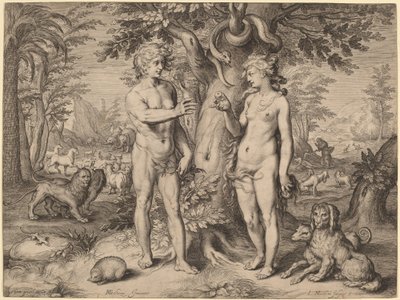 La Caduta dell