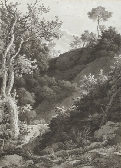 Pendio boscoso da Jacob Philipp Hackert