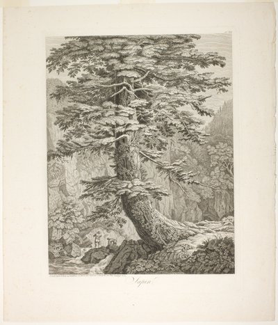 Abete da Jacob Philipp Hackert