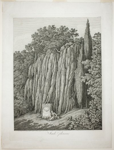 Salice piangente da Jacob Philipp Hackert