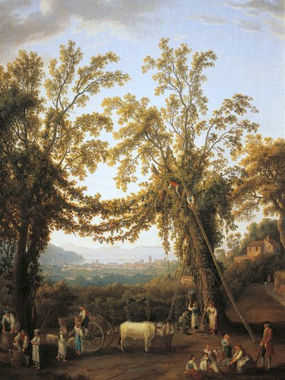 Autunno, raccolto vicino a Sorrento da Jacob Philippe Hackert
