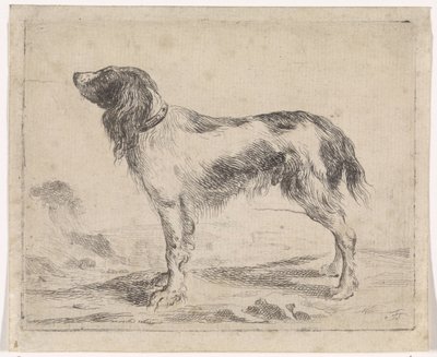 Cane in piedi (Cani) da Jacob Toorenvliet