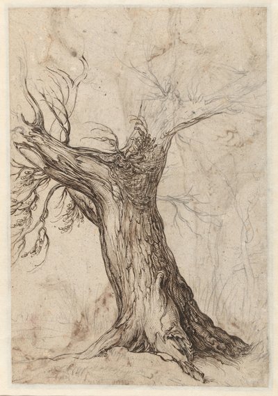 Albero di castagno con alcuni alberi intorno da Jacob de Gheyn (II)