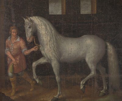 Cavallo da guerra spagnolo catturato da Lodewijk Gunther van Nassau dall