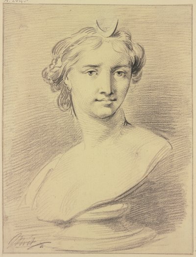 Busto di Diana da Jacob de Wit