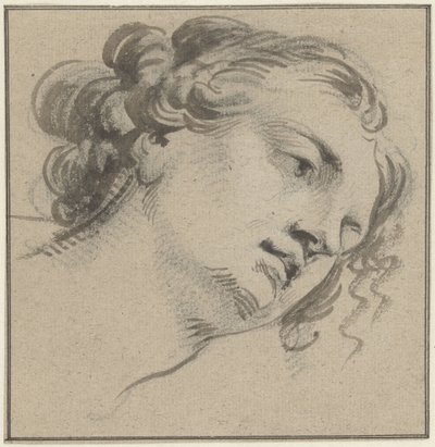 Testa di donna con capelli ricci, tre quarti verso destra e chinata in avanti da Jacob de Wit