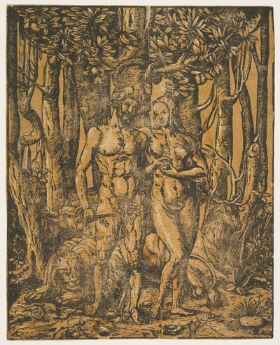 Adamo ed Eva da Jacob the Elder attr. to Lucius