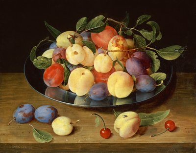 Prugne e Pesche su un Piatto di Peltro da Jacob van Hulsdonck