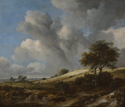 Un campo di grano con lo Zuiderzee sullo sfondo, c. 1660 da Jacob van Ruisdael