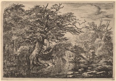 Una Palude nella Foresta con Viaggiatori su una Sponda da Jacob van Ruisdael