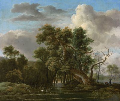 Una piscina nel bosco da Jacob van Ruisdael