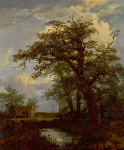 Un paesaggio boscoso con una quercia, uno stagno e le case oltre da Jacob van Ruisdael