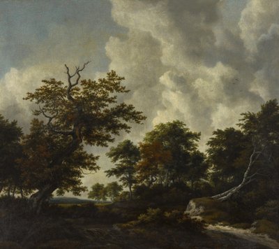 Paesaggio boschereccio con una grande quercia e due faggi caduti vicino a una cascata da Jacob van Ruisdael