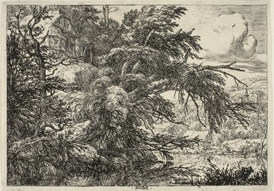 Cottage in cima a una collina da Jacob van Ruisdael