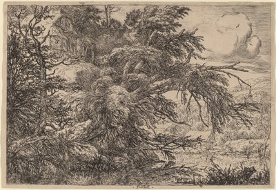 Cottage su una collina da Jacob van Ruisdael