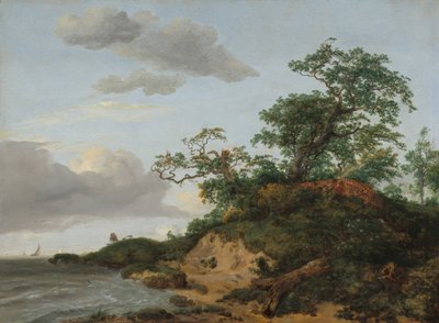 Dune sul mare da Jacob van Ruisdael