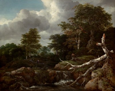 Scena di foresta da Jacob van Ruisdael