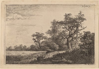 Campo di grano al margine di un bosco da Jacob van Ruisdael