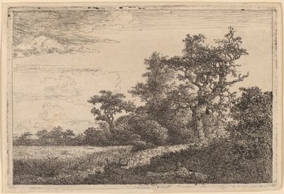 Campo di Grano al Limite di un Bosco da Jacob van Ruisdael