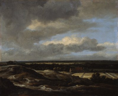 Haarlem vista dalle dune a nord-ovest da Jacob van Ruisdael
