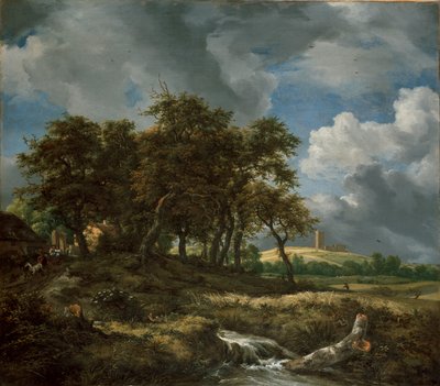 Paesaggio vicino a Muiderberg, primi anni 1650 da Jacob van Ruisdael