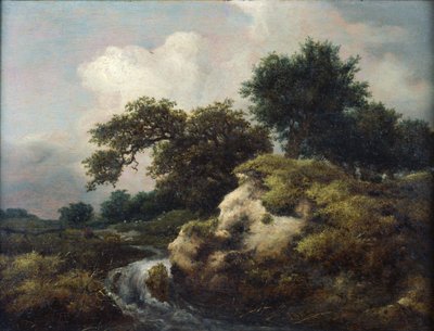  da Jacob van Ruisdael