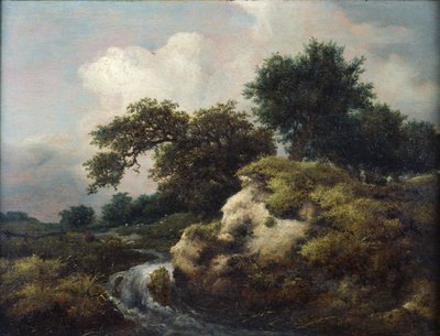Paesaggio con Duna e Piccola Cascata da Jacob van Ruisdael