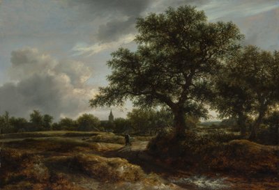 Paesaggio con un villaggio in lontananza, 1646 da Jacob van Ruisdael