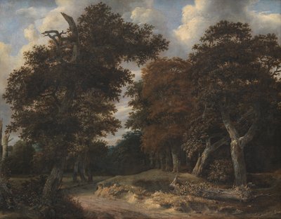 Strada attraverso una foresta di querce da Jacob van Ruisdael
