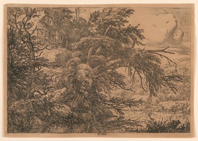 Il Cottage con il Tetto di Paglia sulla Collina da Jacob van Ruisdael