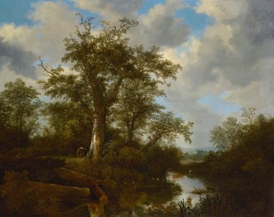 Paesaggio boscoso con bestiame che attraversa un ruscello da Jacob van Ruisdael