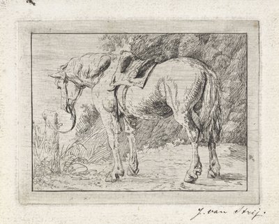 Cavallo sellato legato a un palo da Jacob van Strij